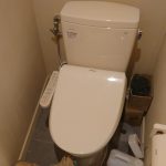 DSC_0729.JPG