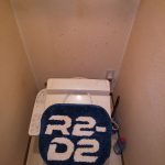 DSC_1331.JPG