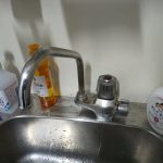DSC_1445.JPG