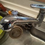DSC_3911.JPG
