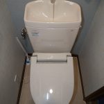 DSC_5329.JPG