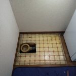 DSC_7196.JPG