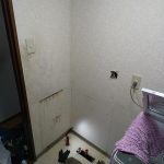 DSC_7211.JPG