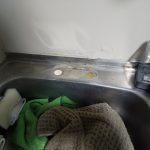 DSC_7392.JPG