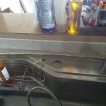 DSC_8334.JPG