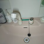 DSC_8375.JPG