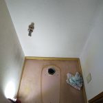 DSC_8382.JPG