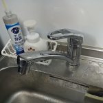 DSC_8444.JPG