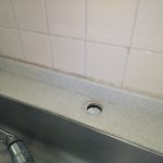 DSC_8713.JPG