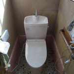 DSC_8810.JPG