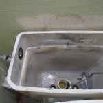 DSC_8886.JPG