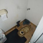 DSC_8942.JPG