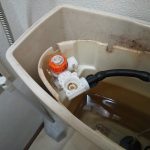 DSC_8969.JPG