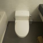 DSC_9050.JPG