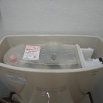 DSC_9194.JPG