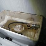 DSC_9713.JPG