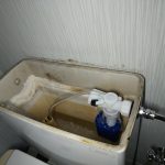 DSC_9720.JPG